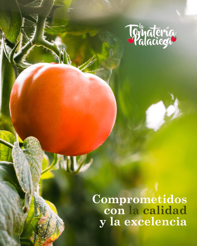 Captura de pantalla 2025-02-20 175718