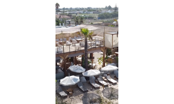 Diseño sin título (10)