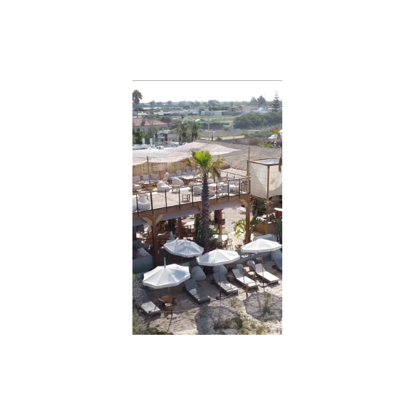 Diseño sin título (10)