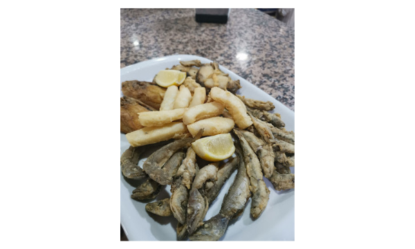 Diseño sin título (12)