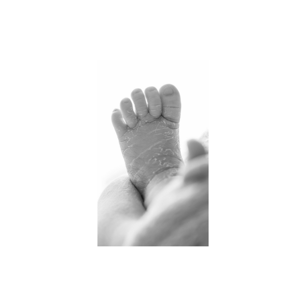 Diseño sin título – 2025-03-26T165950.055