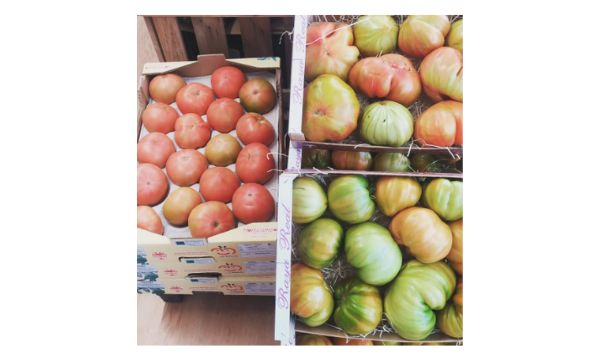 Diseño sin título – 2025-03-27T103345.141