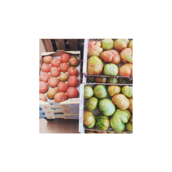 Diseño sin título – 2025-03-27T103345.141