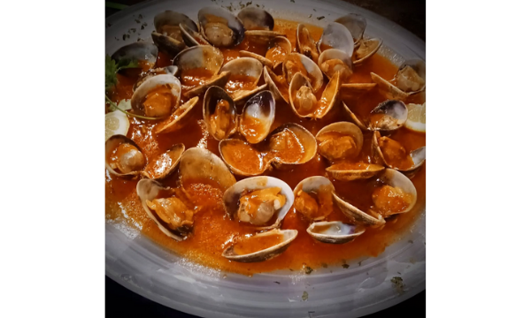 Diseño sin título (35)