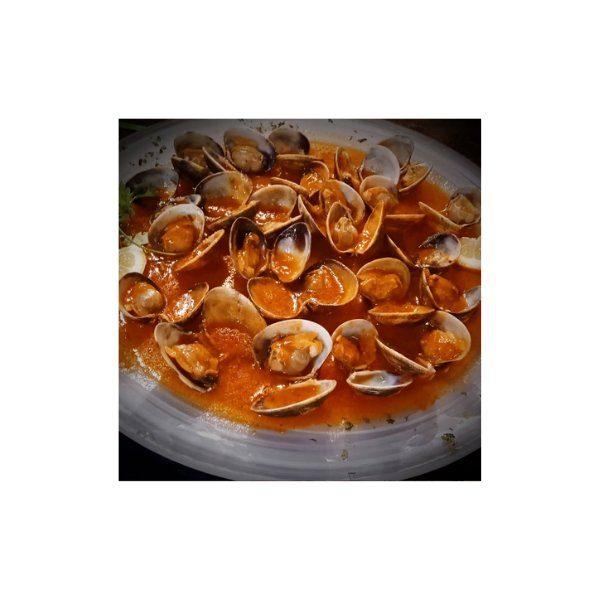 Diseño sin título (35)