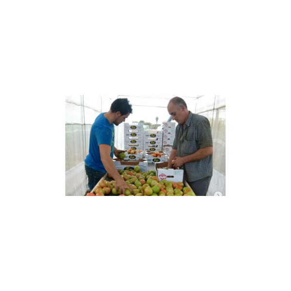 Diseño sin título (4)