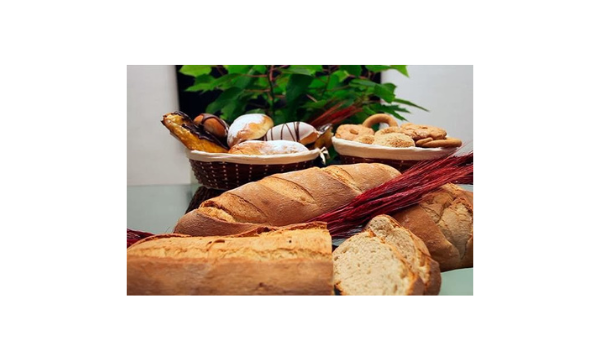 Diseño sin título (51)