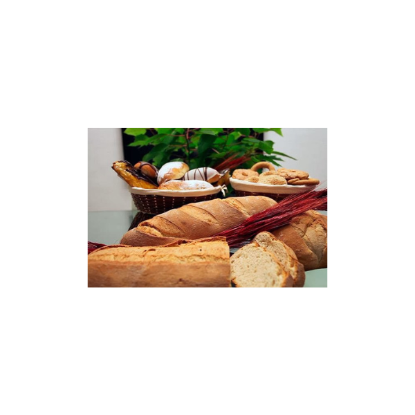 Diseño sin título (51)