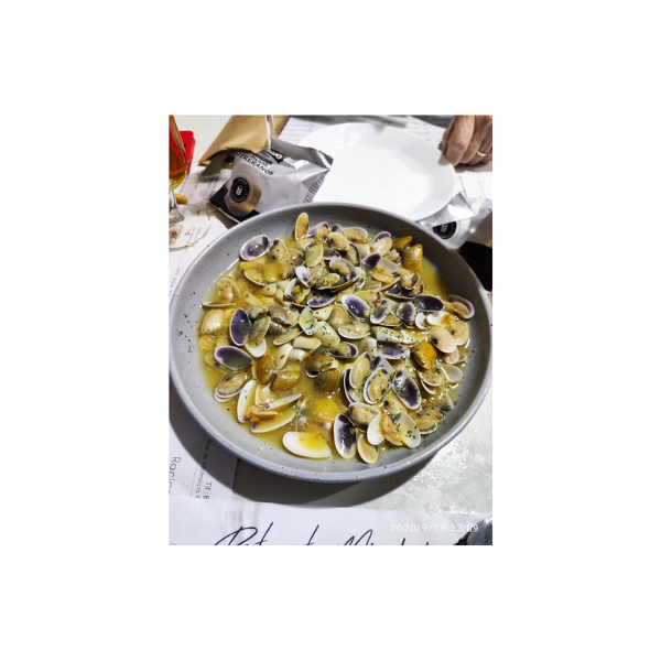 Diseño sin título (58)