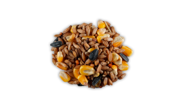 Diseño sin título (61)