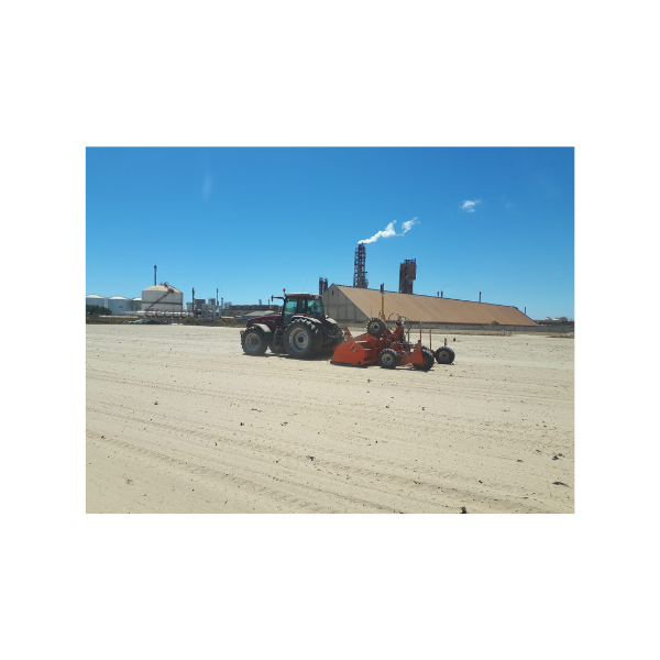 Diseño sin título (64)