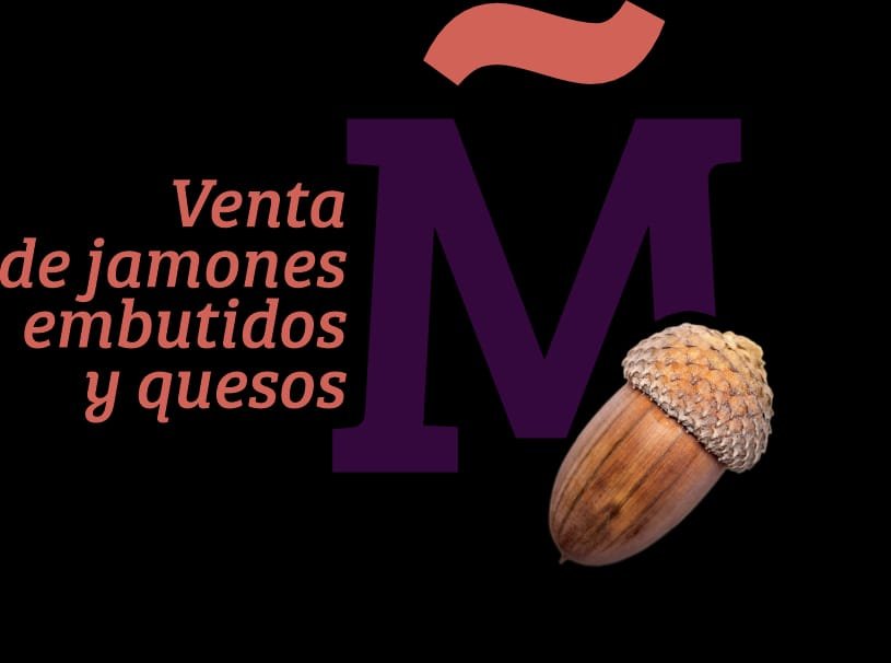 WhatsApp Image 2025-03-10 at 13.19.04 (1)