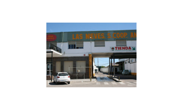 Diseño sin título – 2025-04-03T110831.144