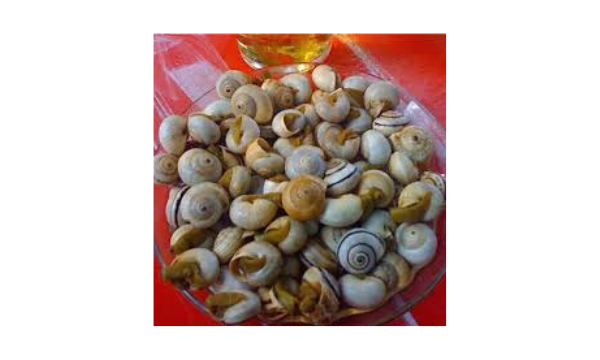 Diseño sin título – 2025-04-09T091646.304