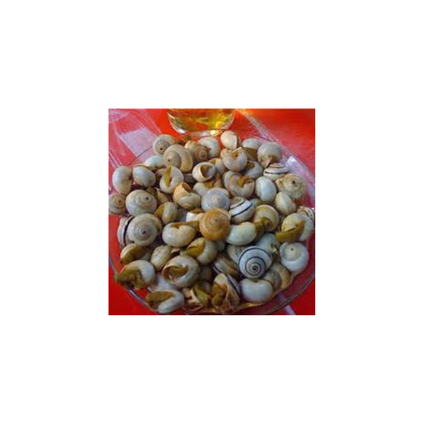 Diseño sin título – 2025-04-09T091646.304