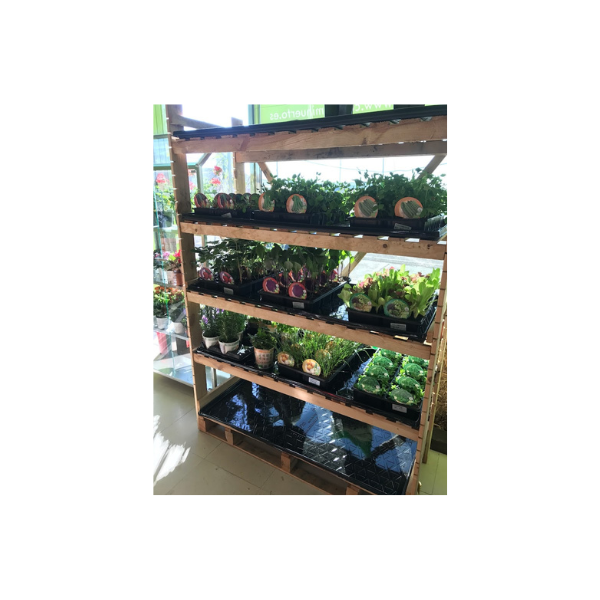 Diseño sin título – 2025-04-09T130527.049