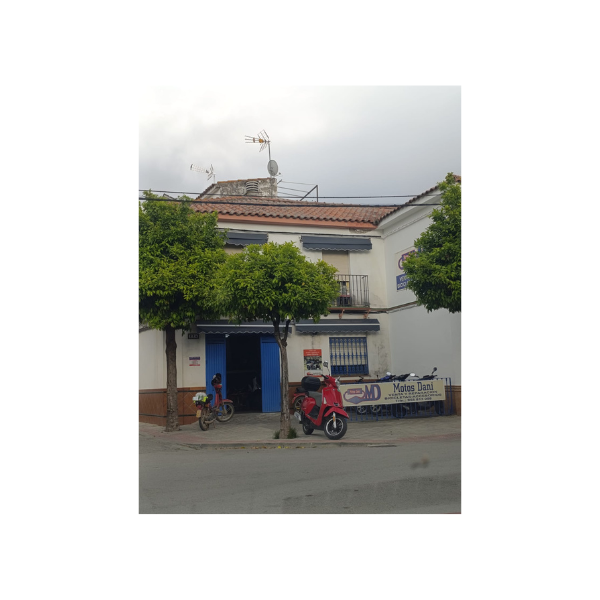 Diseño sin título – 2025-04-24T111332.633