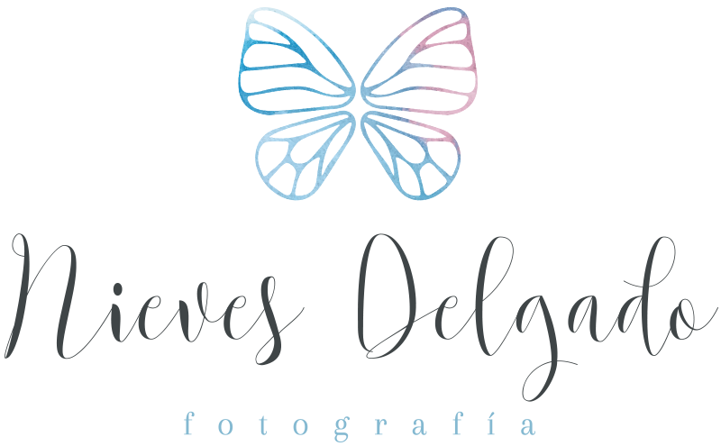 logo-color NIEVES DELGADO (1)