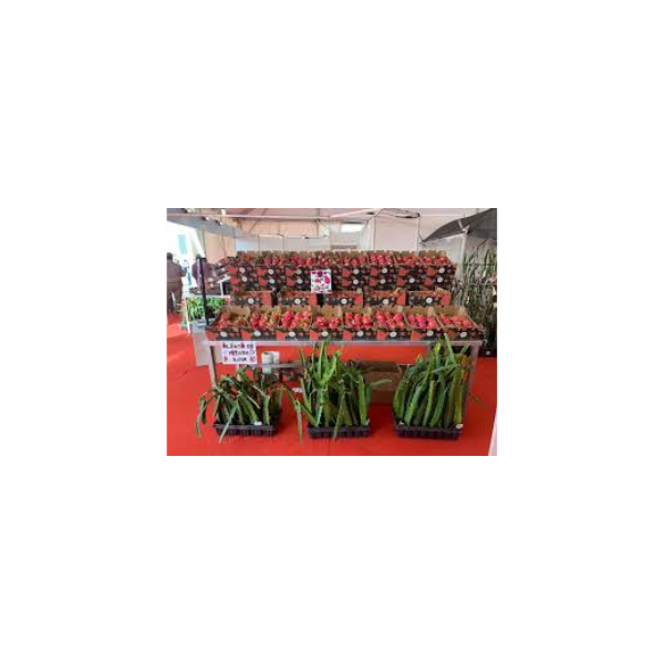 Diseño sin título – 2025-05-05T110538.511