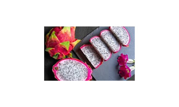 Diseño sin título – 2025-05-05T110553.931