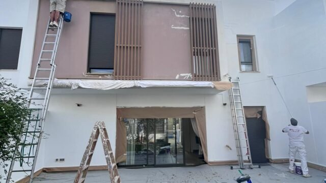 foto pinturas leon